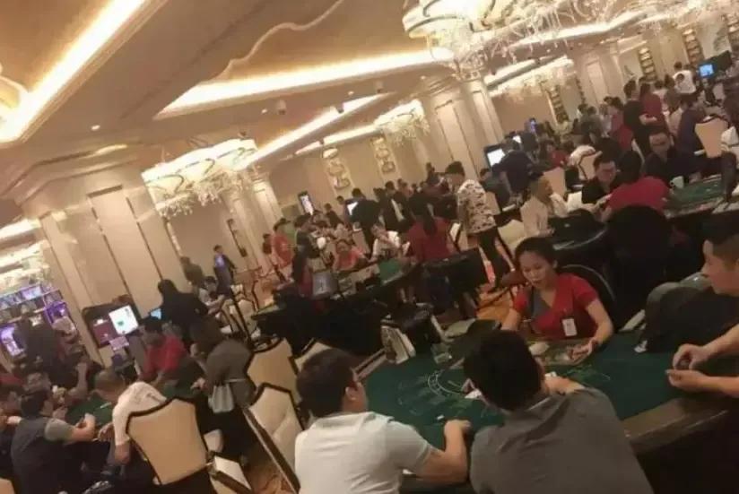 探秘缅北训狗场的真实画面,缅北训狗场怎么训