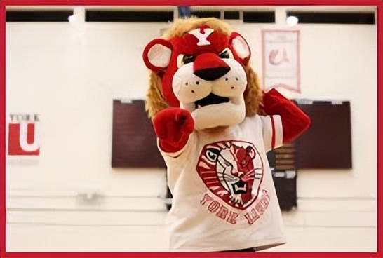 约克大学加拿大照片,约克大学加拿大的位置