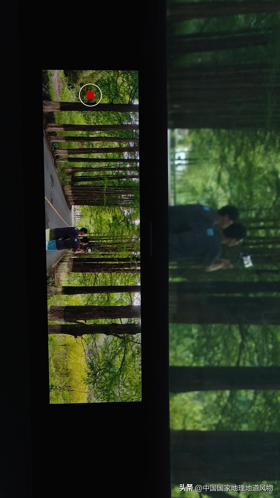 涓浗绉﹀箔绁炵鐗╃,鍙戠幇鐝嶇█鐗╃涓浗绉﹀箔