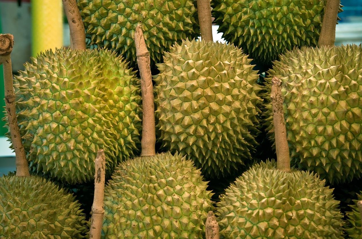 榴莲熟透和烂了的区别,榴莲熟透了苦怎么挽救