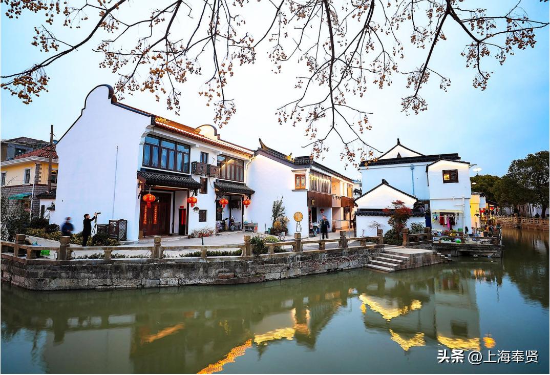 庄行镇乡村振兴,庄行镇发展规划