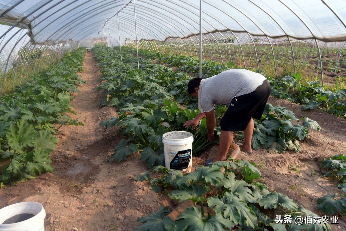 噻虫嗪含量和价格,噻虫嗪是第几代杀虫剂