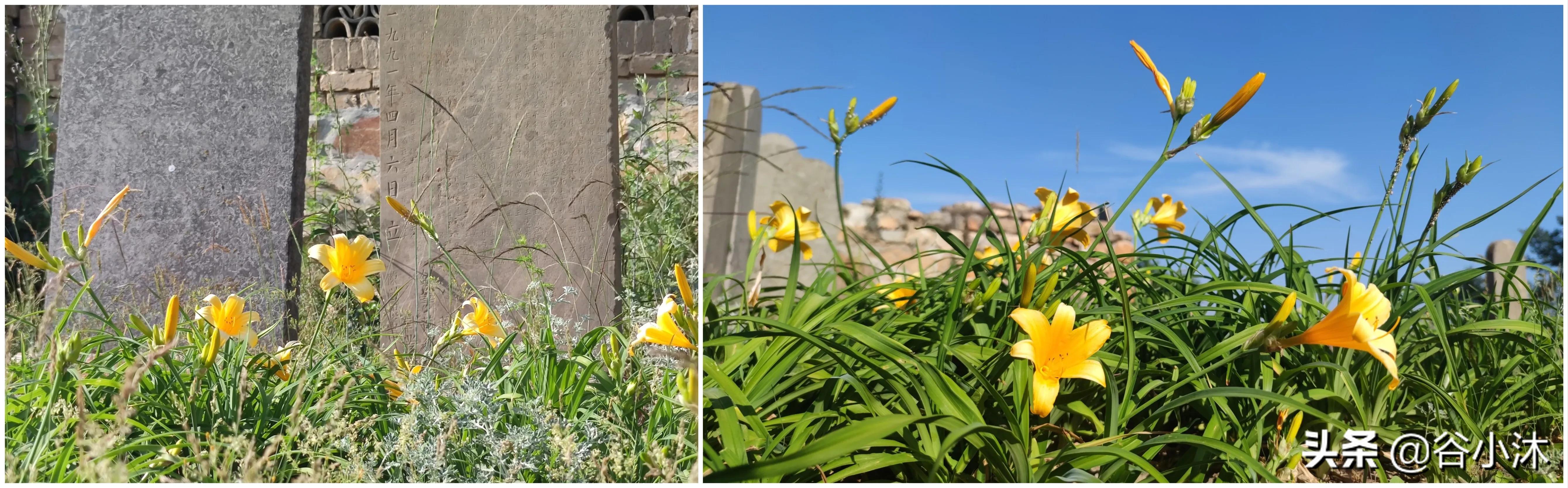 登封最值得爬的山,嵩山挡阳山徒步攻略