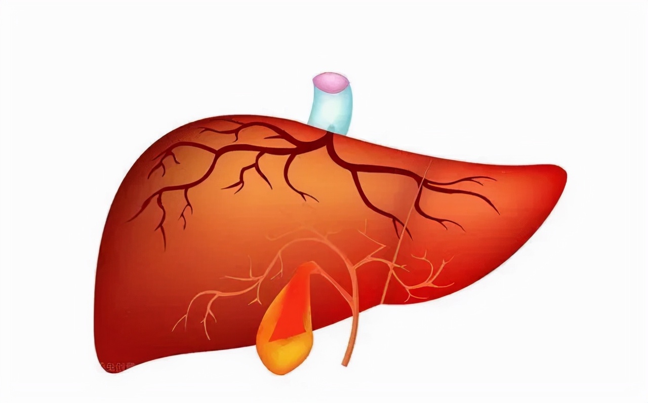 胆结石为什么会在夜间腹胀,胆结石为什么总是晚上发作