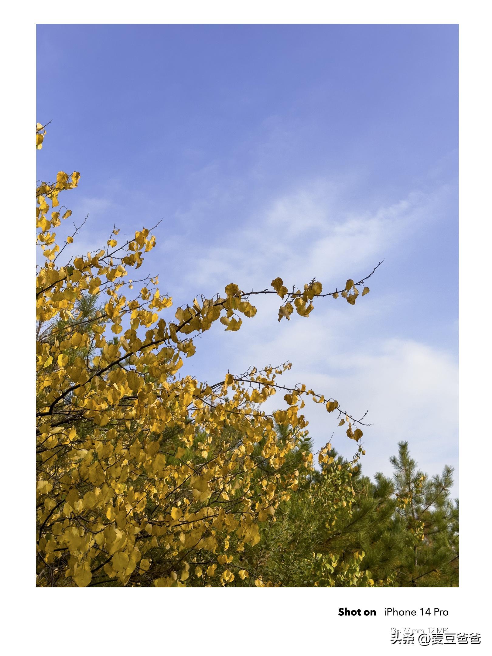 如何利用苹果14手机拍高清图片,iphone14如何拍出好看照片