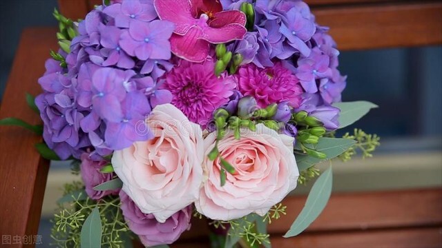 玫瑰花的各种颜色的花语和寓意,各种颜色的玫瑰花花语大全