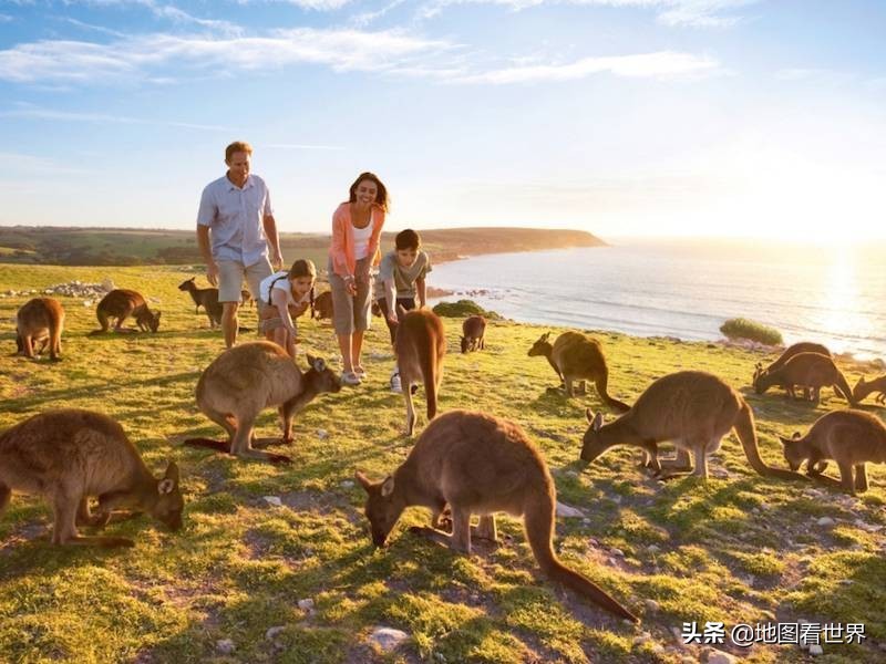 澳大利亚是一个什么样的国家呢,澳大利亚是一个什么样的特色国家