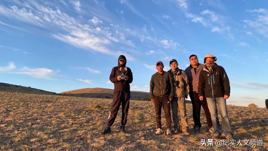 草原看野生动物,独家探访野生动物