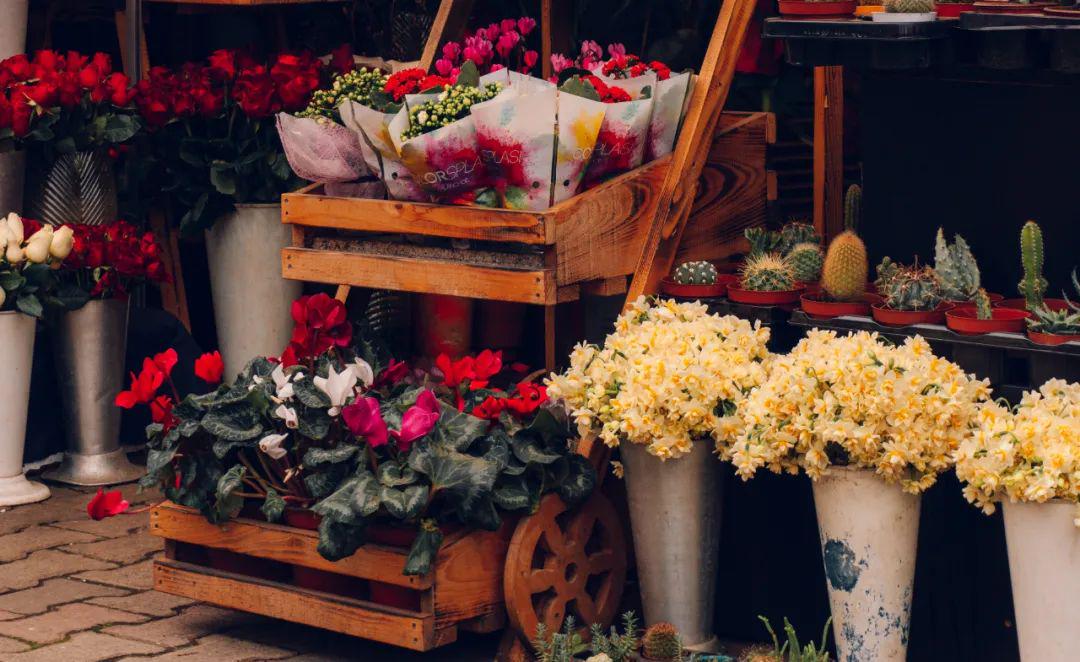 鲜花电商为什么不好做了,鲜花电商的现状