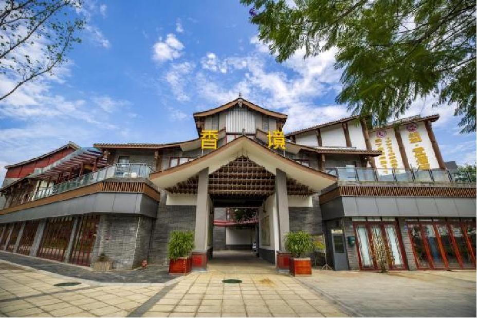 战旗村国家级乡村振兴示范村,乡村振兴模范村战旗村