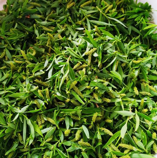 除湿热健脾胃最好的菜,健脾胃祛湿热的食谱儿童