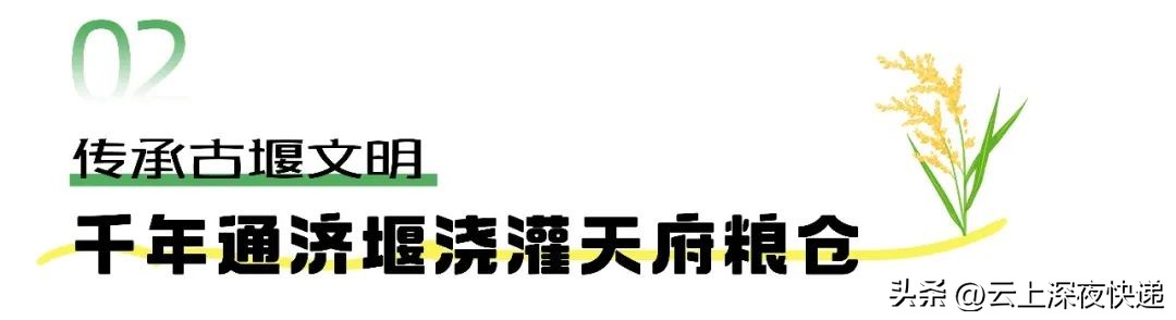 一粒种子的传奇故事,新津发展史