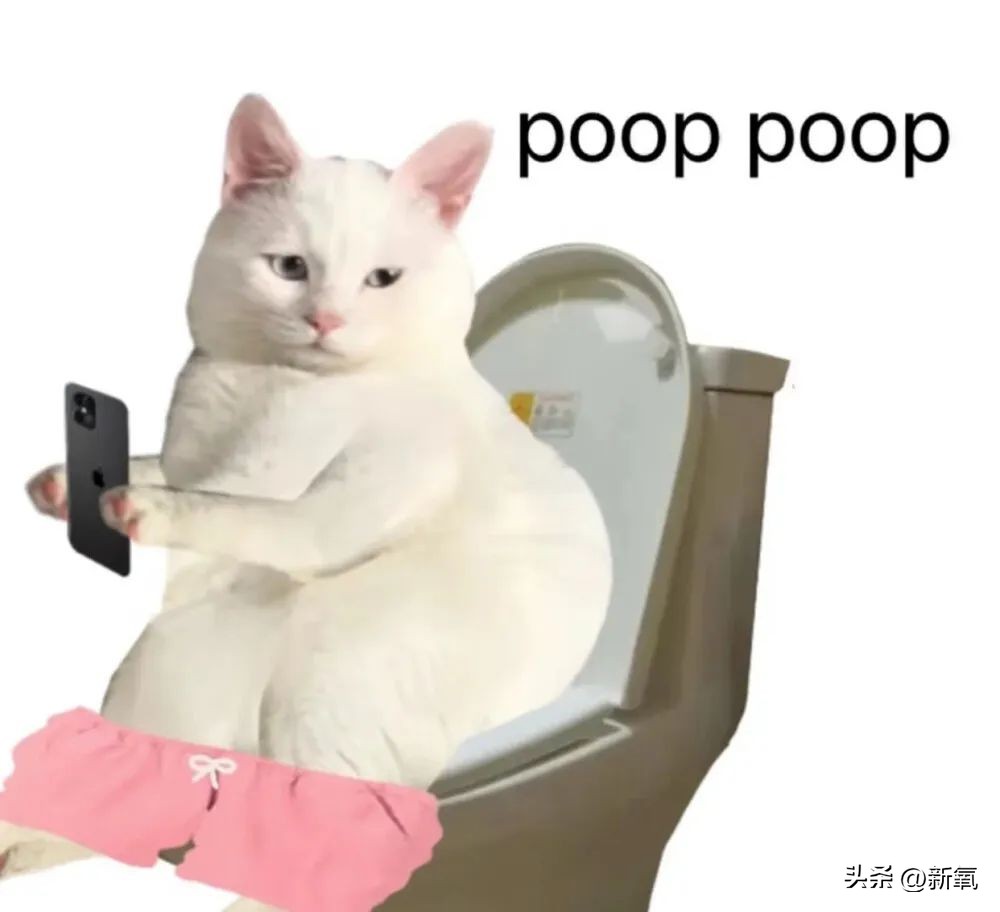 大长今冻龄女神李英爱,韩国李英爱年轻时图片