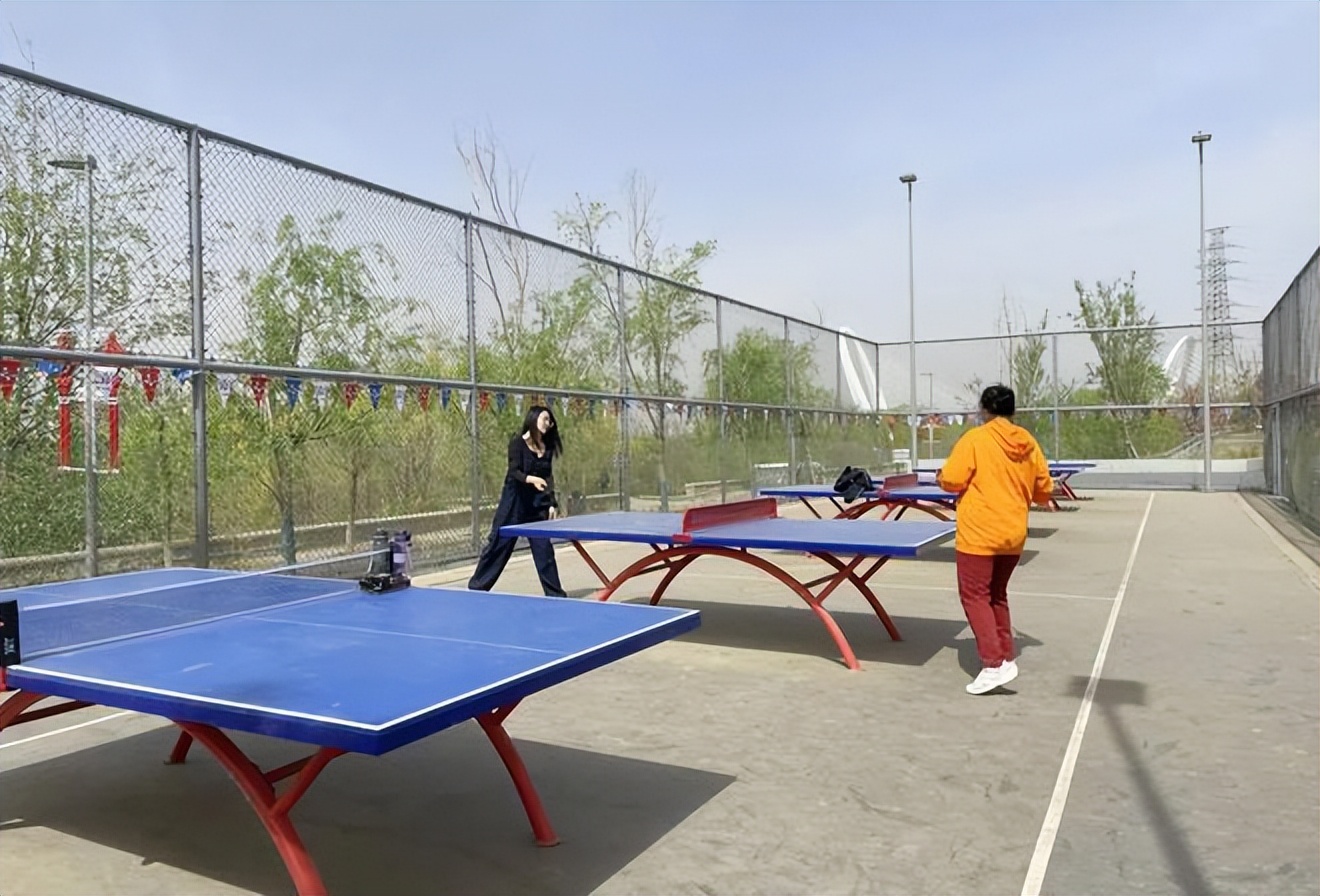 石景山区打篮球去哪,石景山打台球