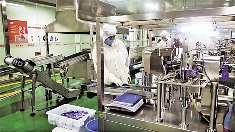 中宁一“杞”向未来