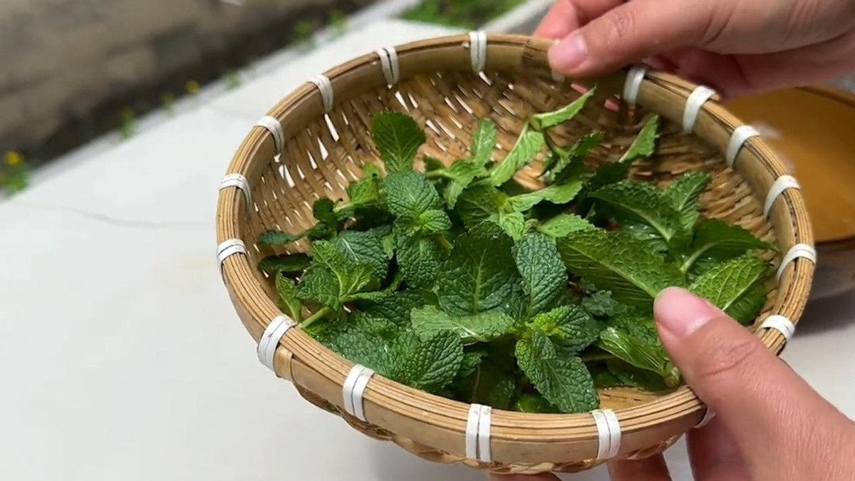 家里有灭蚊子最有效的方法,教你一招轻松解决蚊子