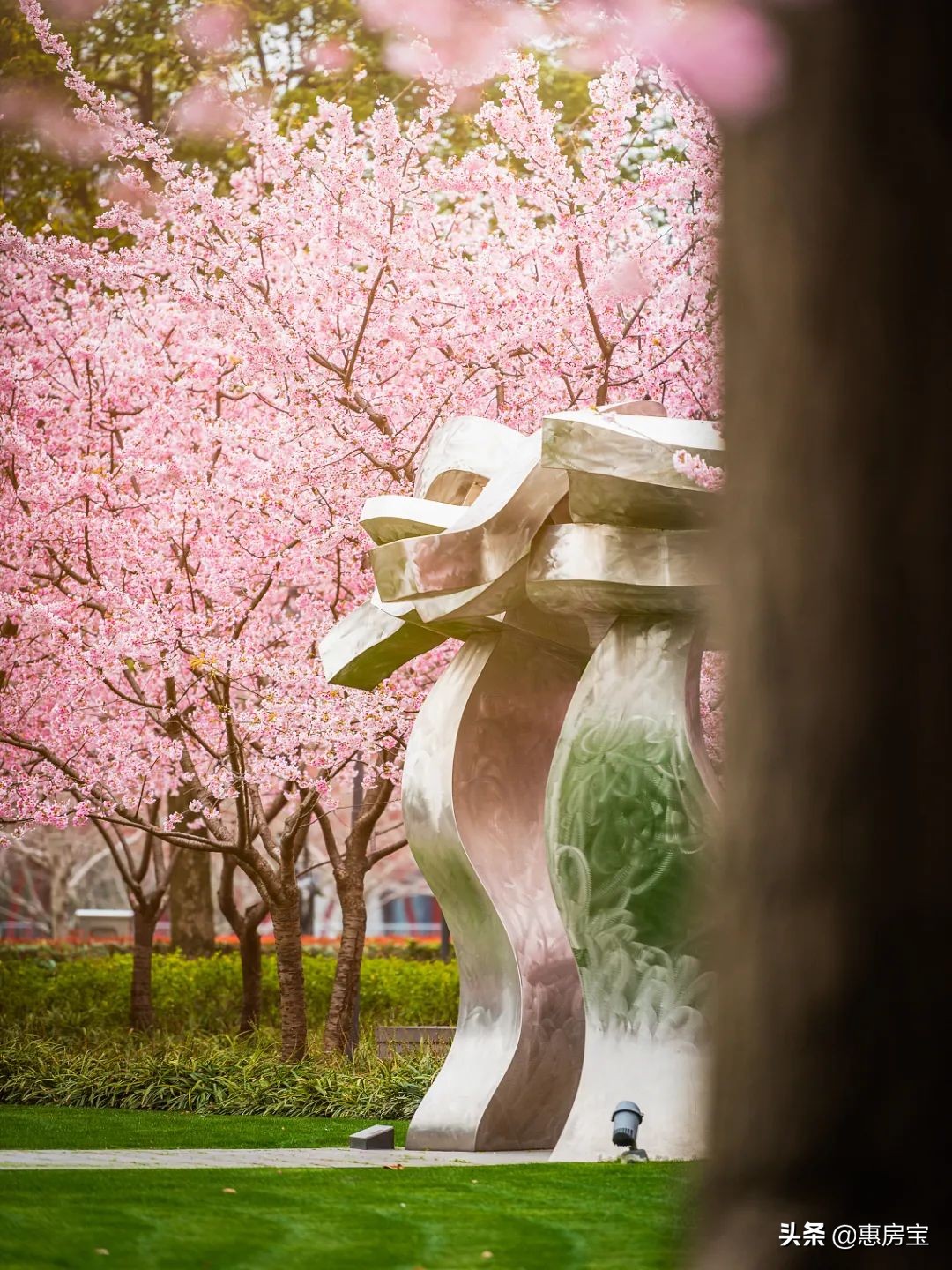 上海公园免费,上海免费公园排行