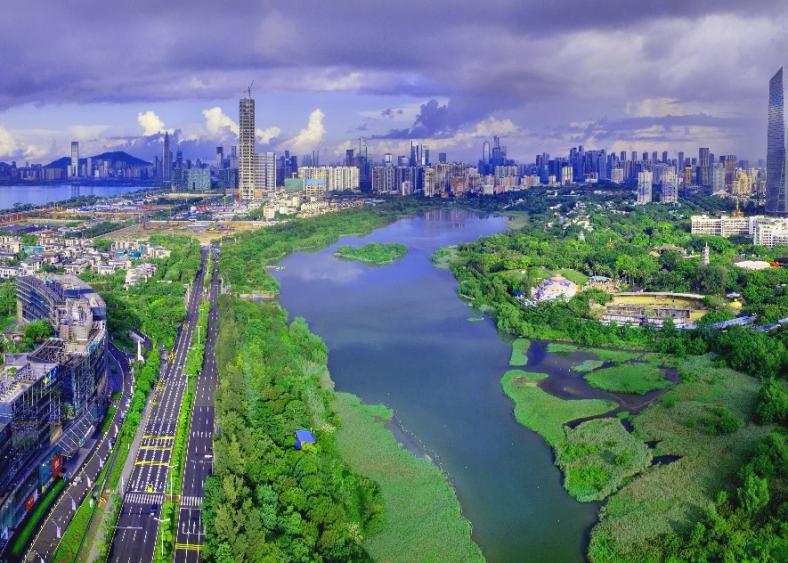 深圳最全红树林公园指南,深圳市最出名红树林湿地公园