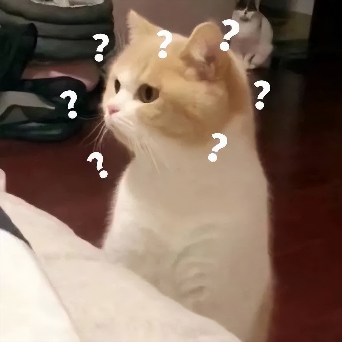 小棕瓶为什么越来越便宜,小棕瓶的缺点