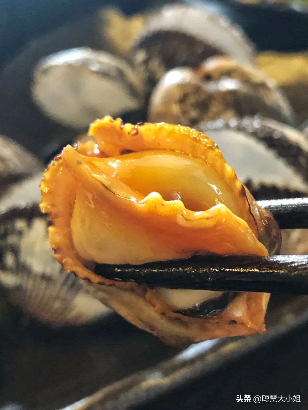 珠海为啥叫百岛之城,珠海有百岛之市的美誉东澳岛