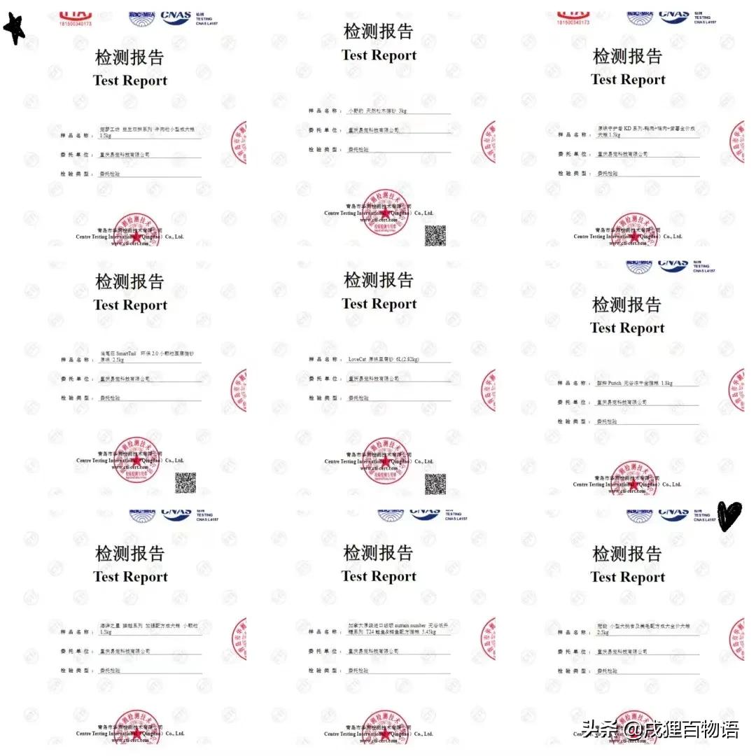 e宠直播回放,e宠天猫店