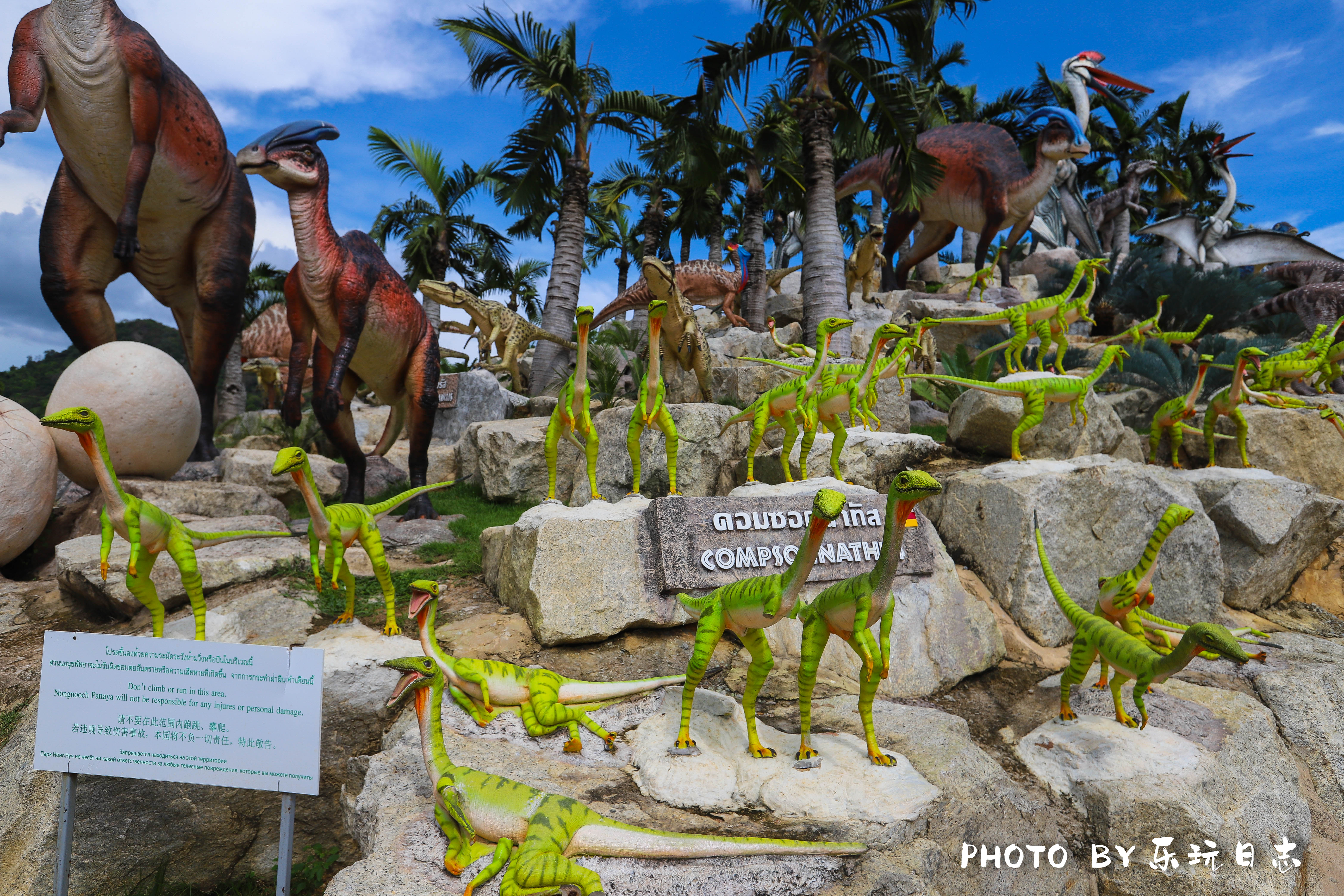 泰国热带公园,泰国东芭乐园占地面积