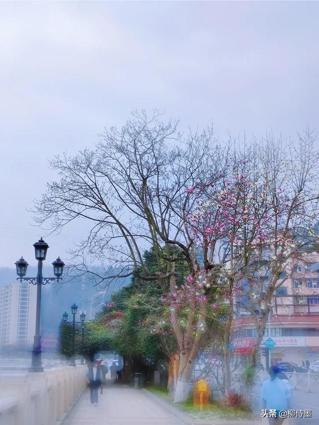 手机摄影照片细节拍摄技巧,手机摄影拍照的五大误区