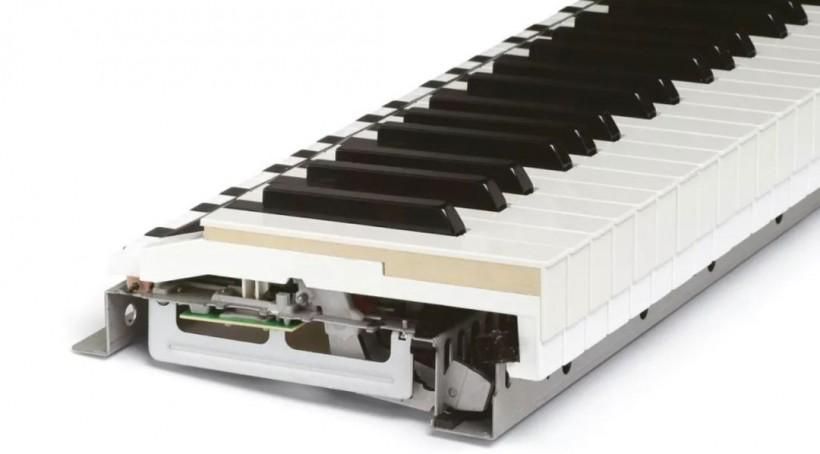 电钢琴入门指南,买电钢琴的建议