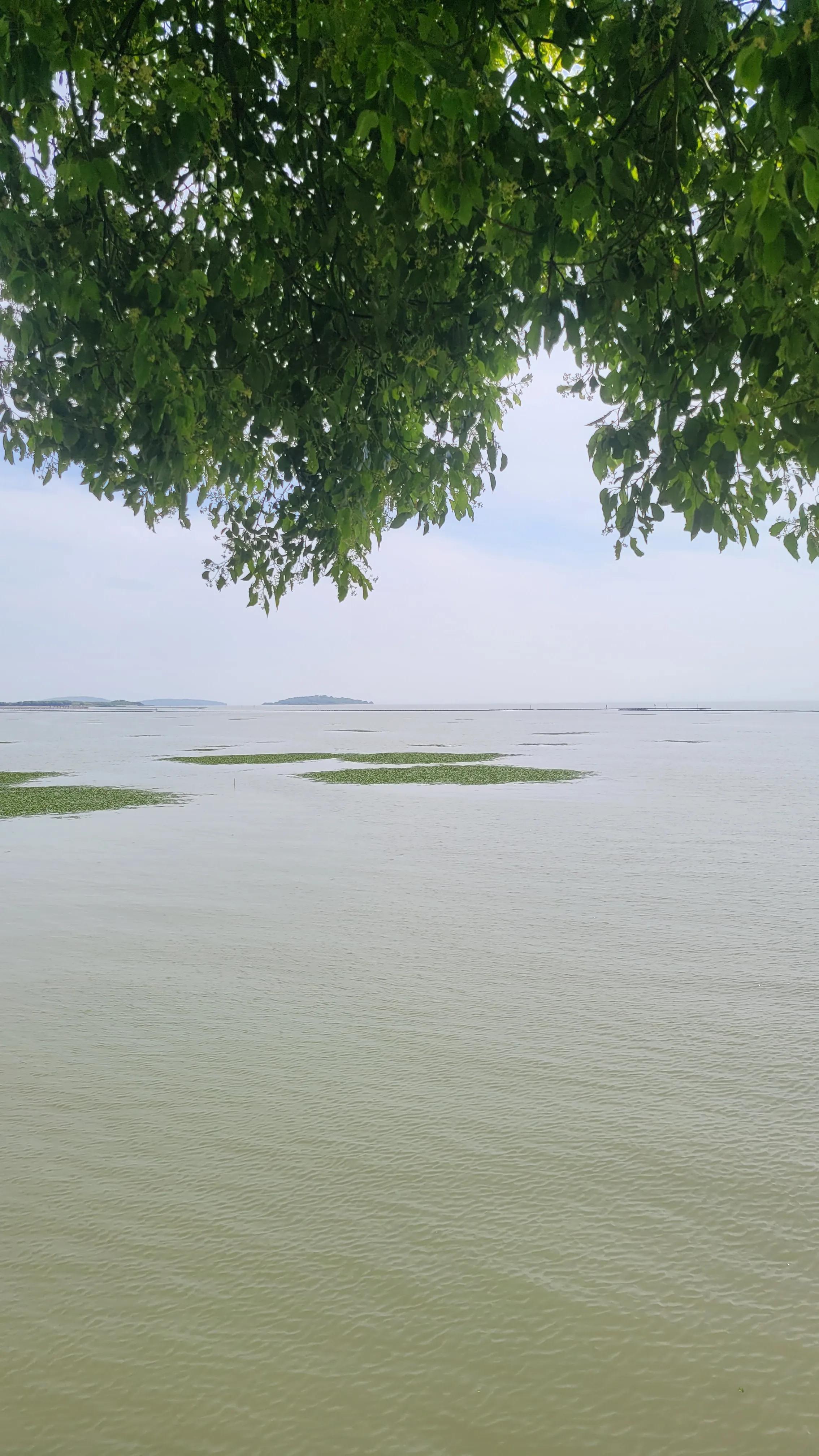 苏州西山古村探秘,苏州古村落景区在哪里