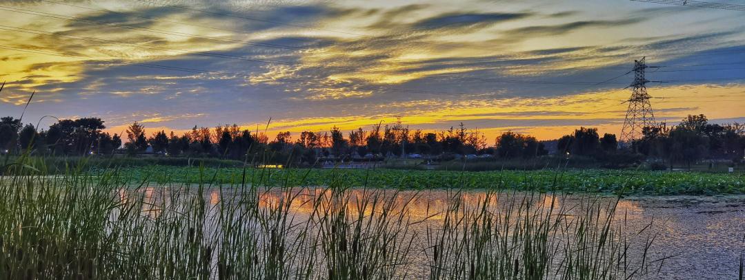 湿地公园的气息和美景,湿地公园春意浓