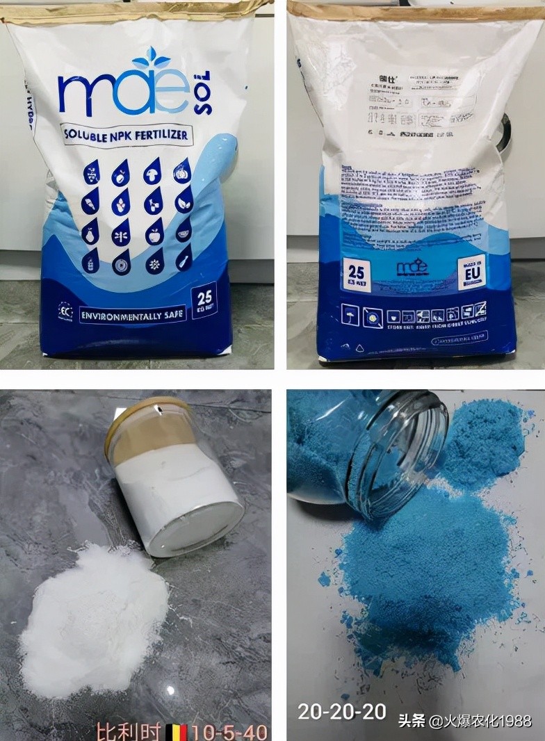 意大利、荷兰、比利时原装进口，交500顶2000；支持货到付款