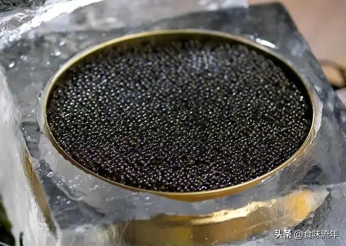 法国菜20道名菜,法国美食不可错过的20道