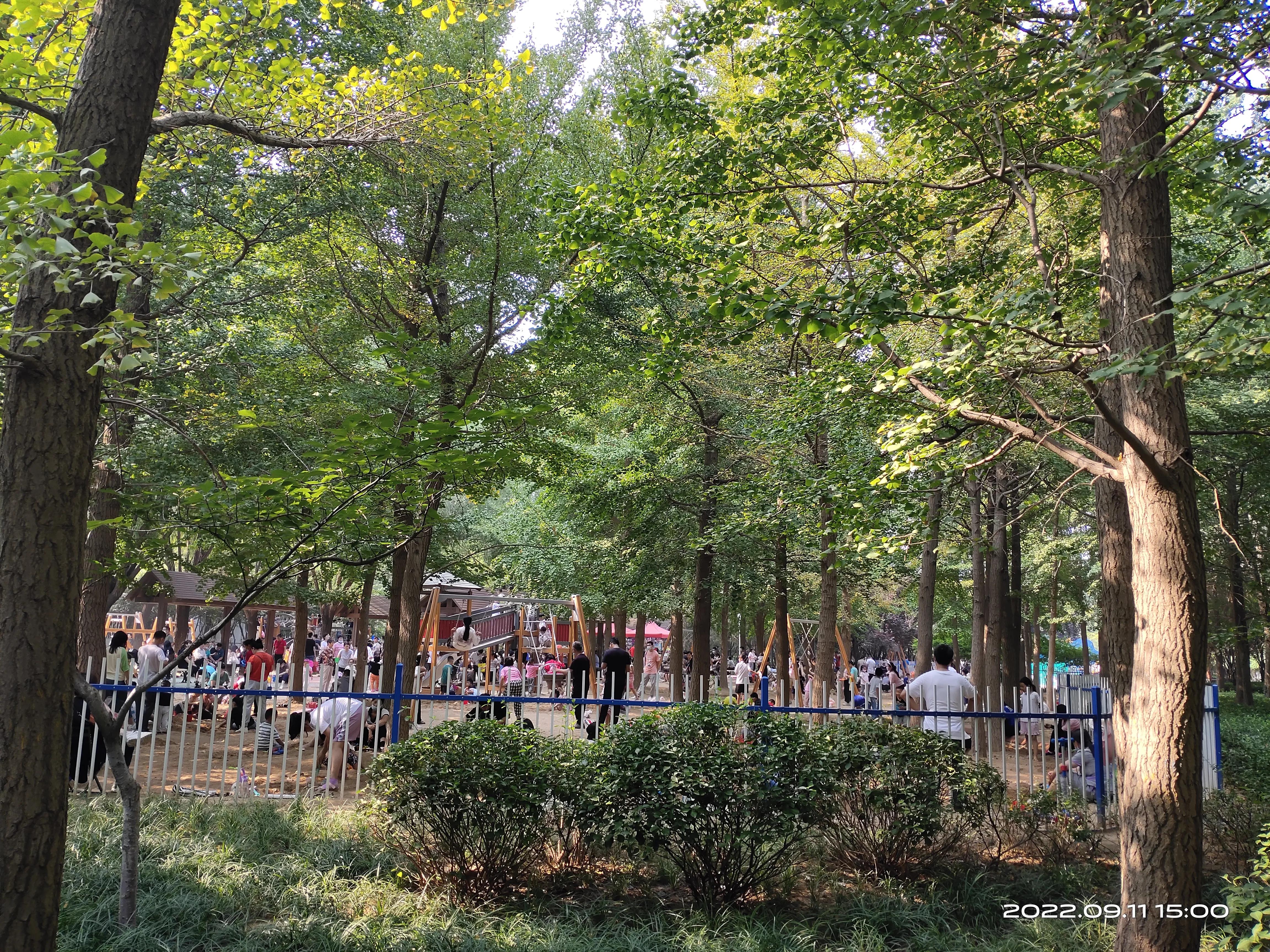 游济南森林公园作文,游济南森林公园攻略怎么写