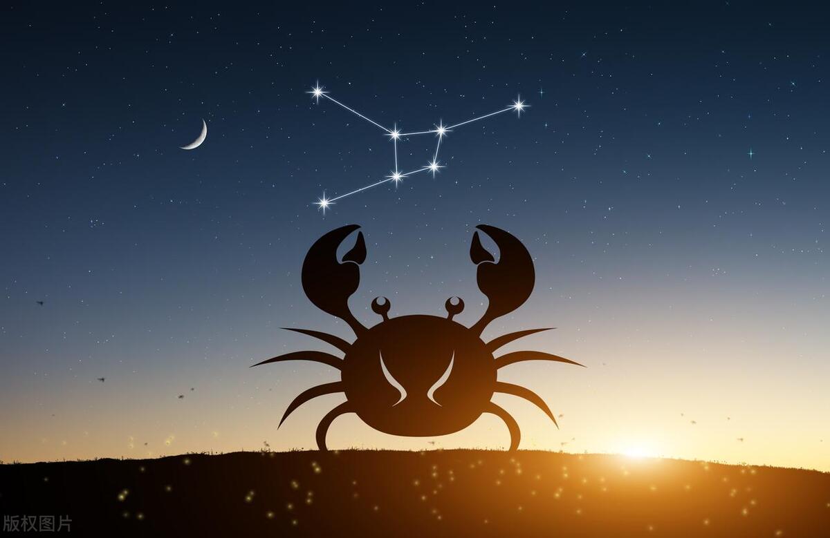 十二星座在职场上的表现,十二星座职场分析