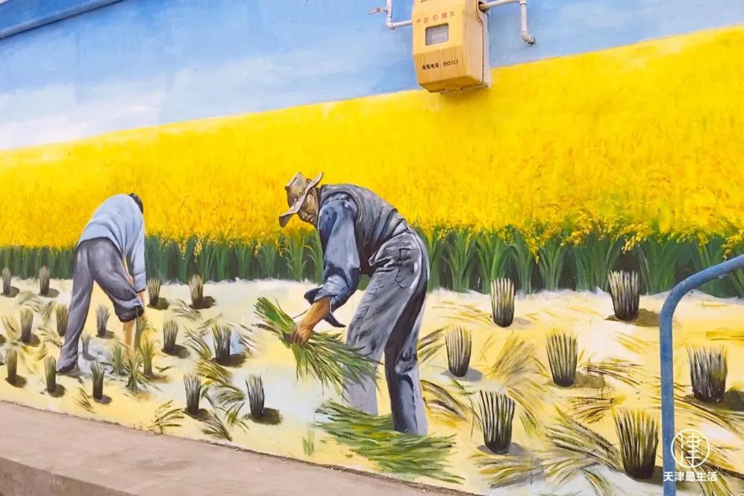 阳性+6例！蓟州这些场所开放！但为嘛我劝你，周末一定去趟武清区