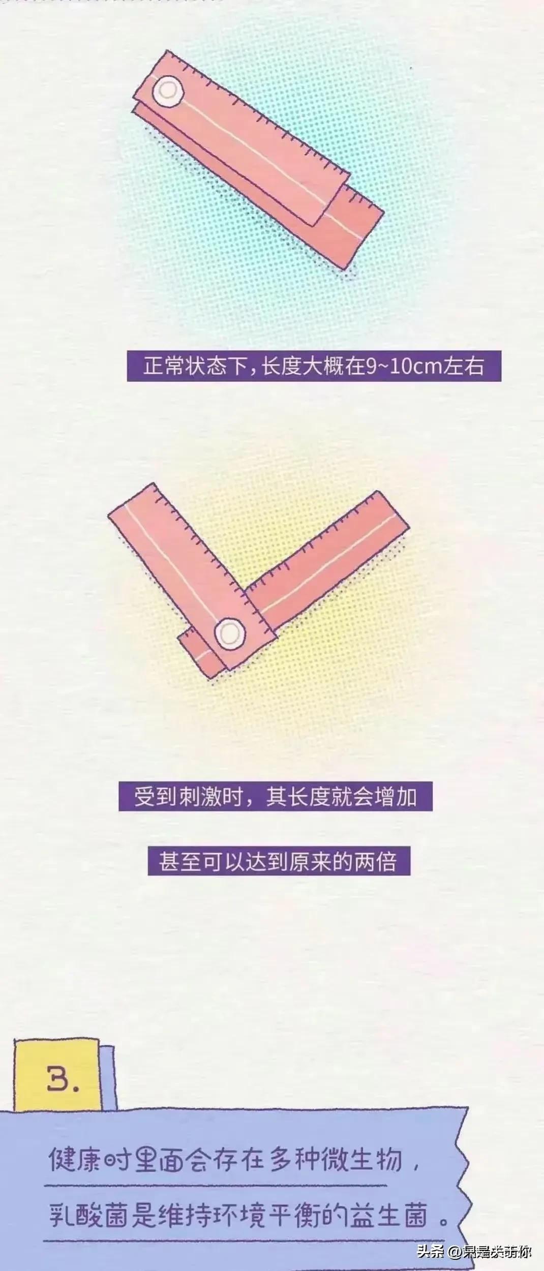 漫画里女孩子的秘密,漫画科普关于女性的12个秘密