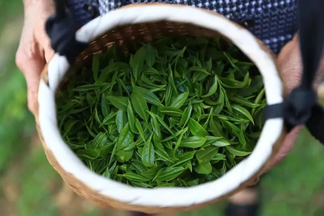 昆明十二生肖街,云南12生肖街在哪里