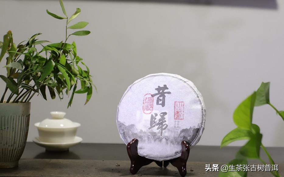小白入门如何选茶,新手小白买熟茶买什么好