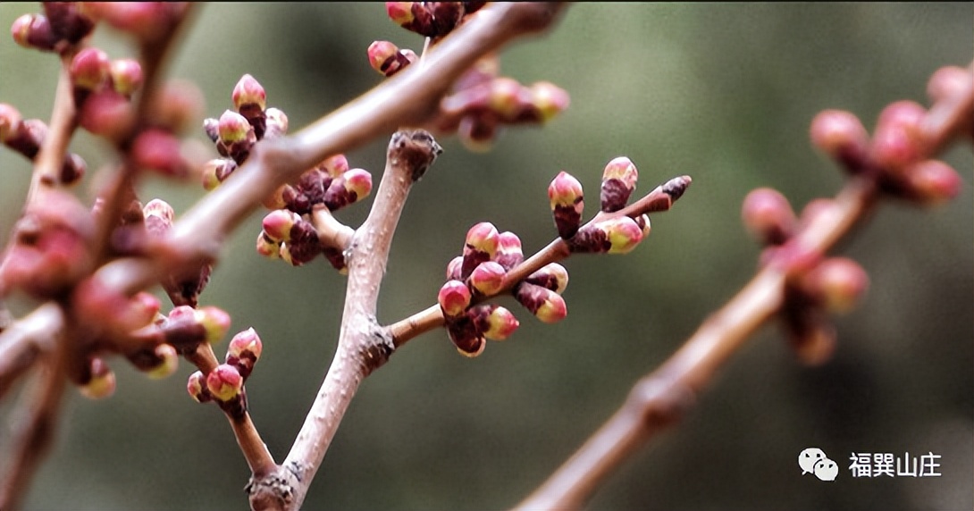 春天来了心情要好,春天来了要注意的健康问题