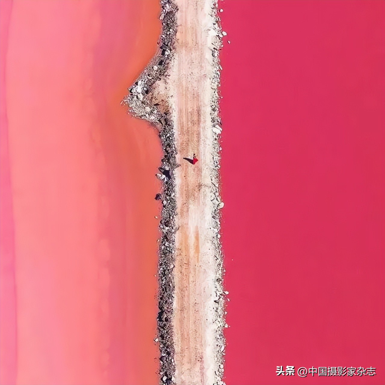 108张令人惊讶的历史与自然照片,有颠覆你认知的那张吗?