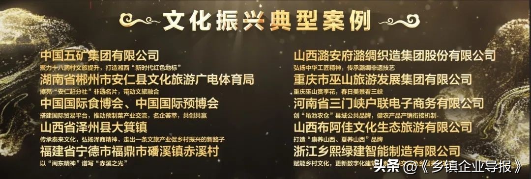 乡村振兴赋能计划人才典型案例,乡村振兴之文化振兴案例