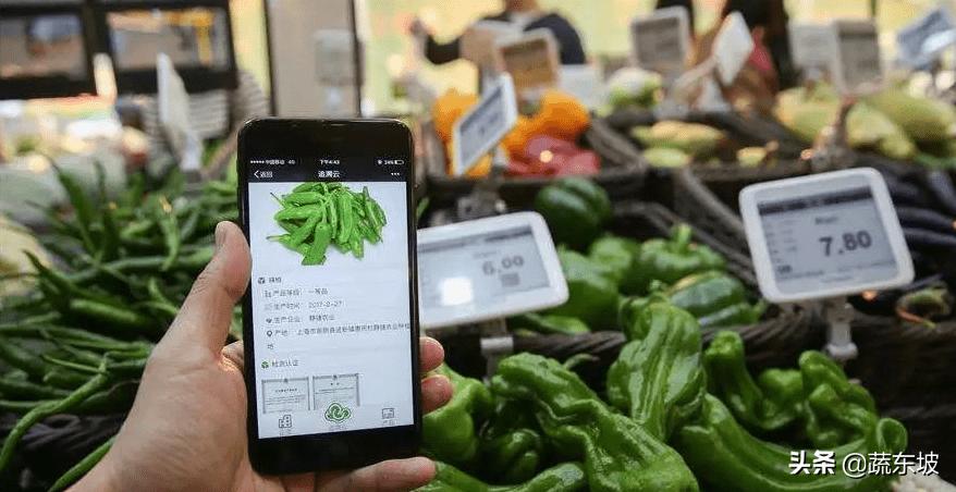 蔬东坡生鲜配送管理系统怎么样,蔬东坡生鲜系统支付方式