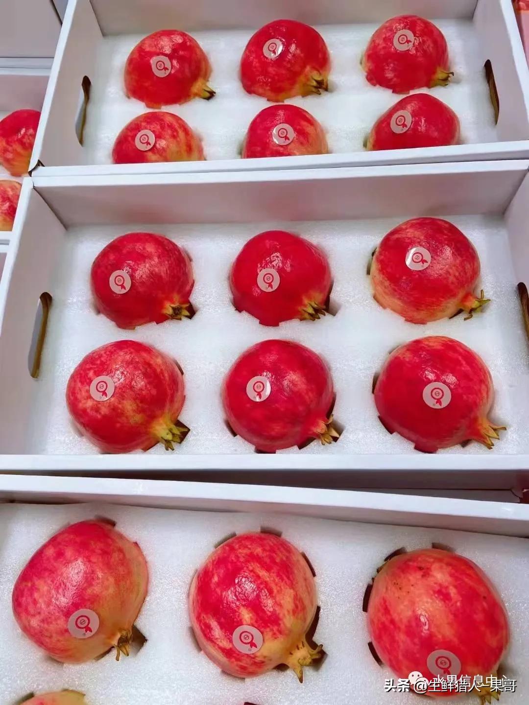 在水果中浆果是分哪几种,水果分类浆果