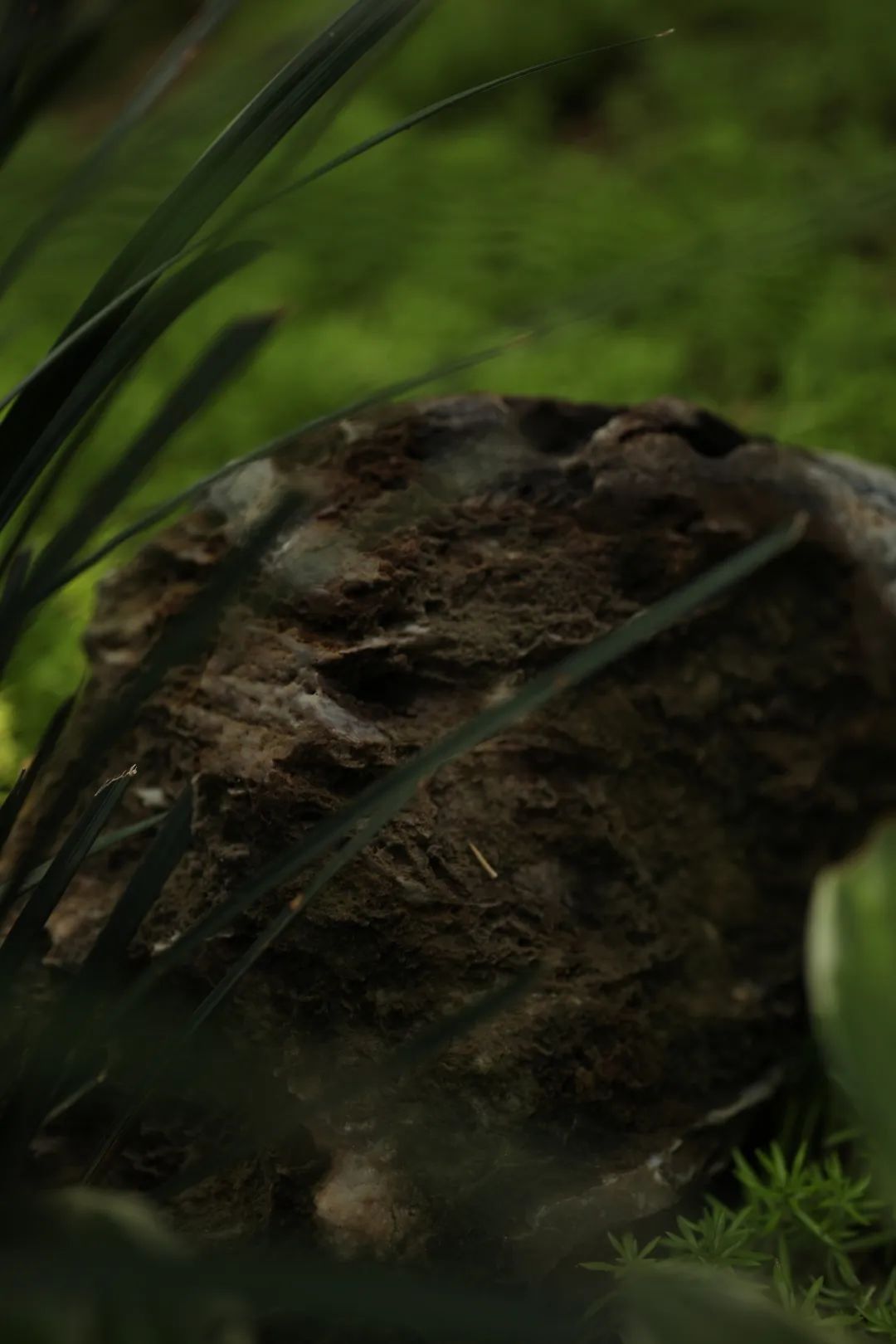 湖畔雅居院落,湖畔雅居图