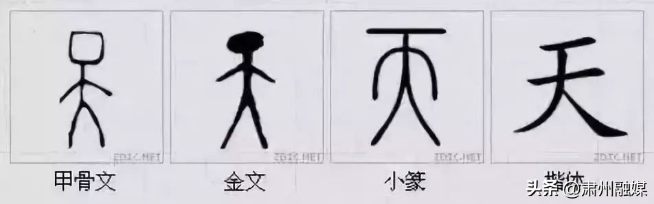 水平极高的演讲太精彩了,十大顶级经典演讲完整版