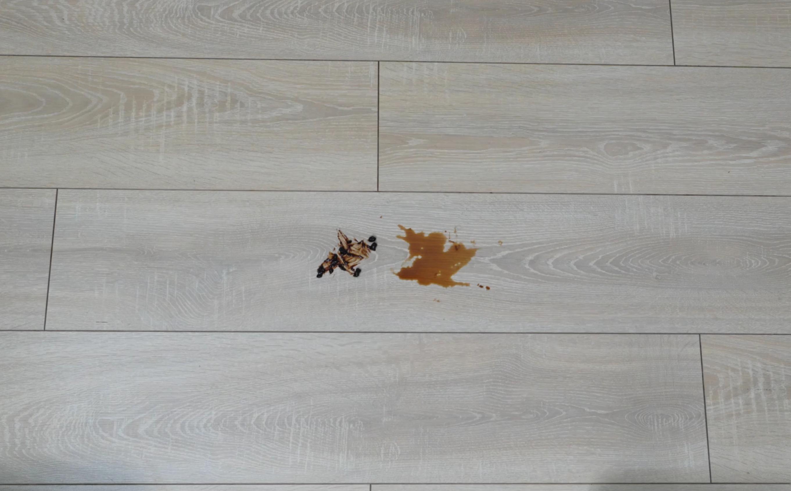 扫地机器人科沃斯和石头选哪个,科沃斯追觅扫地机对比测评