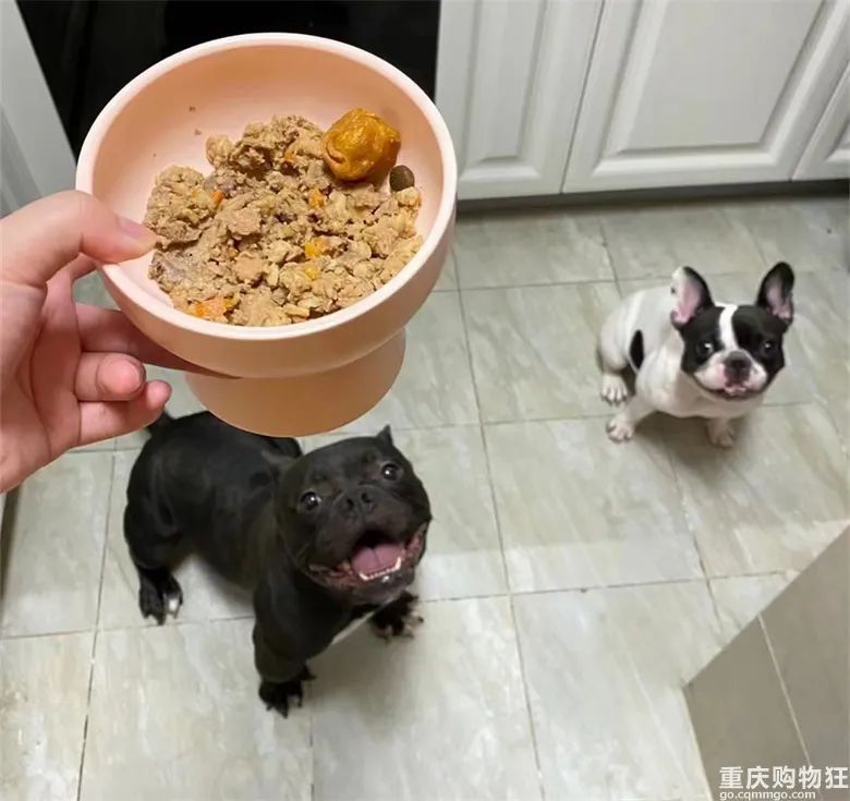 宠物博主有多赚钱,宠物博主怎么盈利