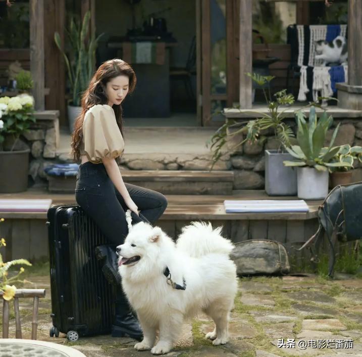 2023年最近最火的五部剧,2023年有哪些好剧值得期待