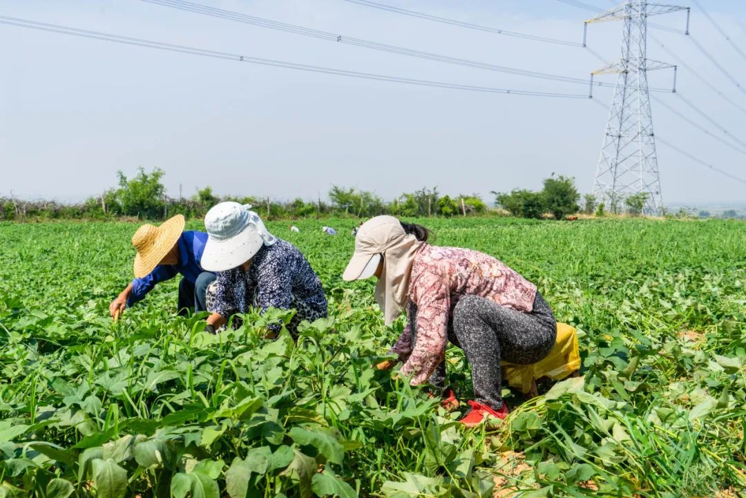 有颜值有内涵人居环境,有颜有格调有料有品质
