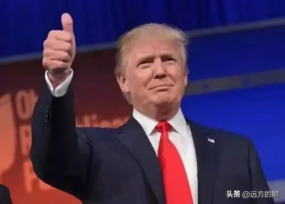 美国特朗普税务表,特朗普个人税务记录解读